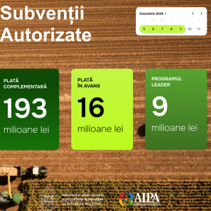 Screenshot 2026-10-13 123059