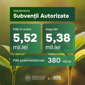 Subvenții