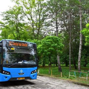autobuz 31
