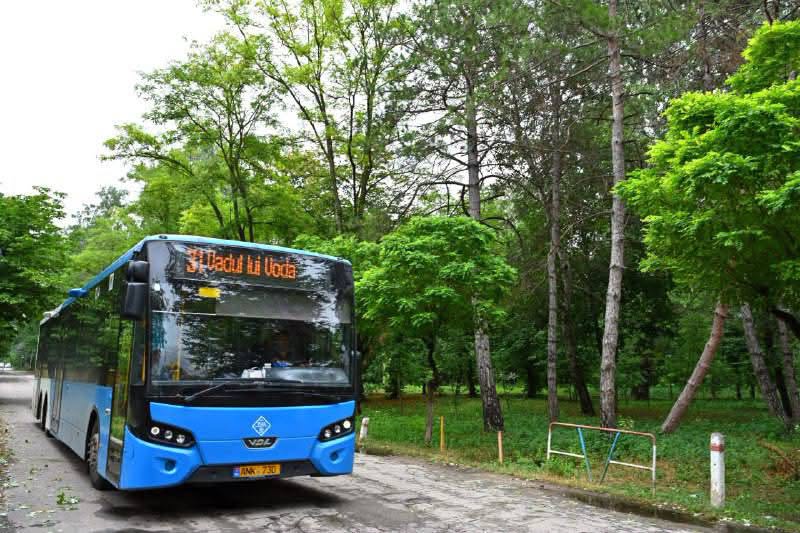 autobuz 31